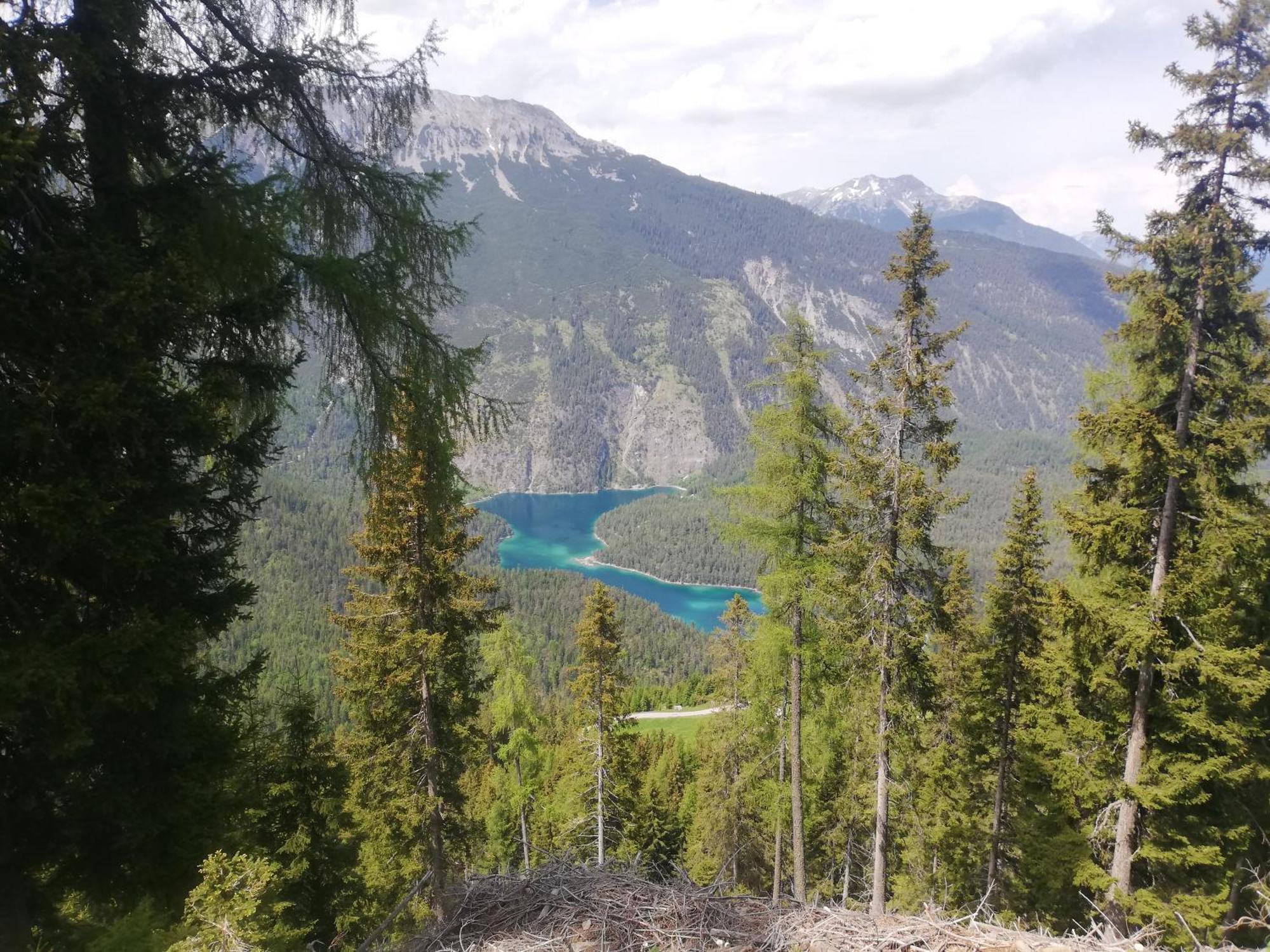 Appartement Gipfelblick- Tiroler Zugspitze Arena In Biberwier Eksteriør billede