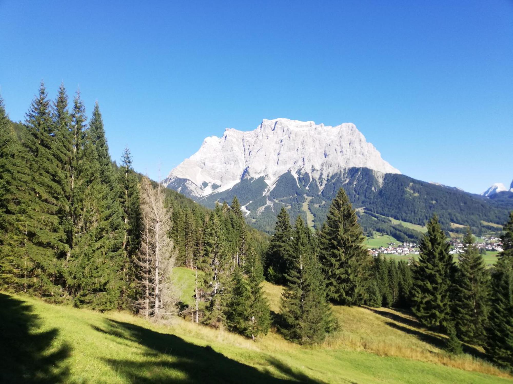 Appartement Gipfelblick- Tiroler Zugspitze Arena In Biberwier Eksteriør billede