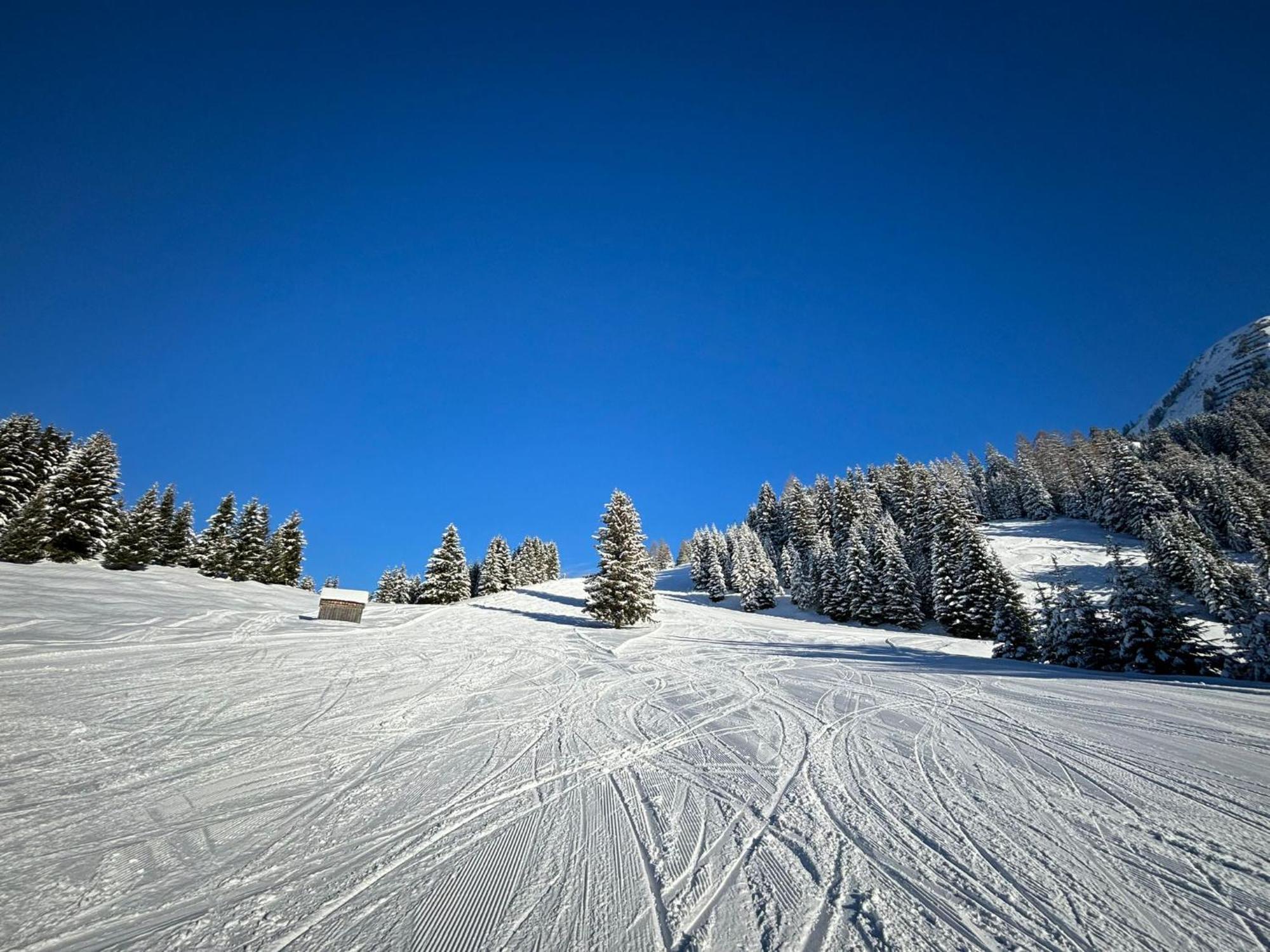 Appartement Gipfelblick- Tiroler Zugspitze Arena In Biberwier Eksteriør billede