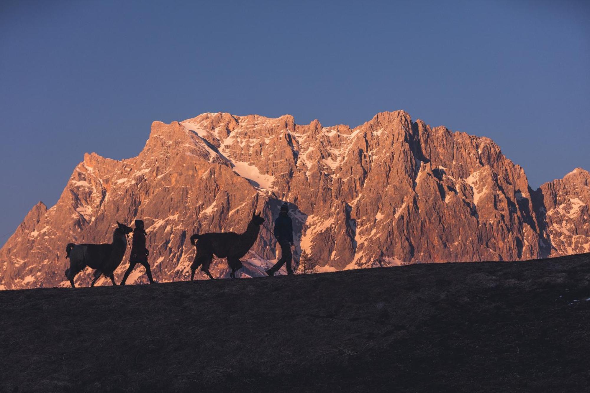 Appartement Gipfelblick- Tiroler Zugspitze Arena In Biberwier Eksteriør billede